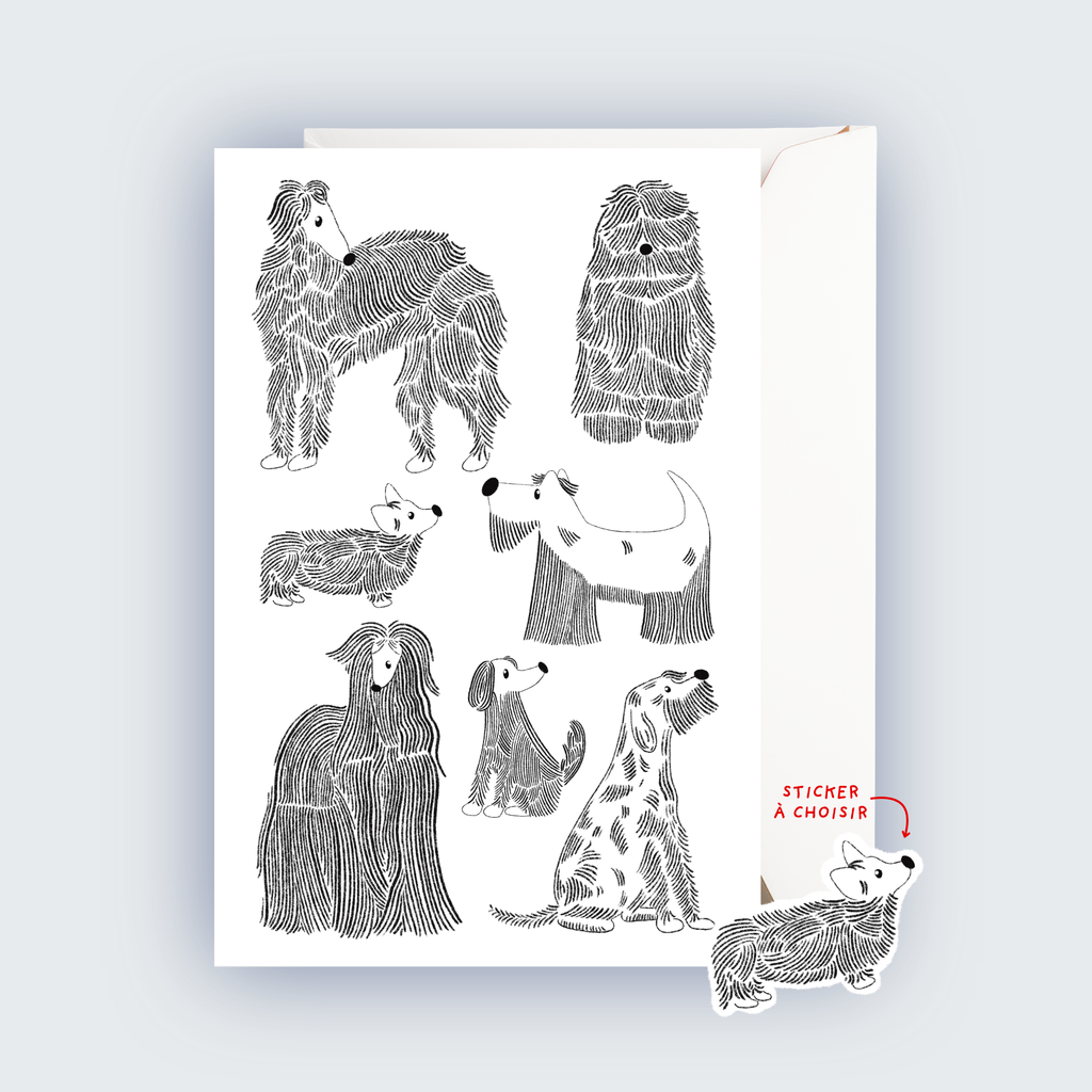 CARTE ★ À POILS LONGS