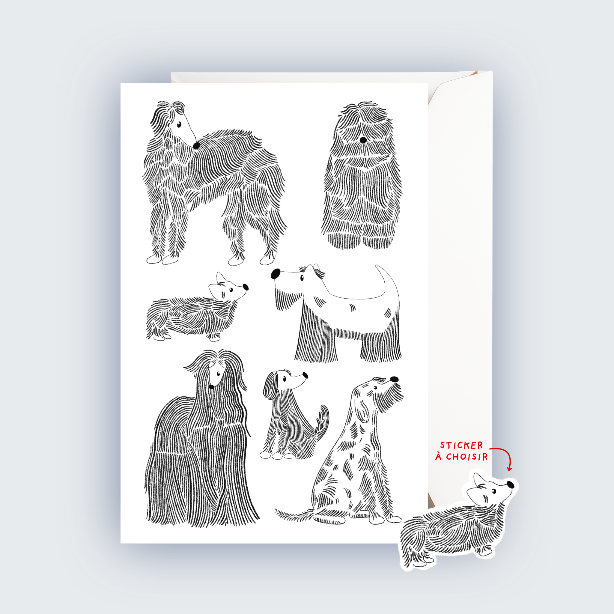 CARTE ★ À POILS LONGS